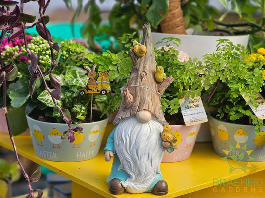 Forest Gnomie Garden Gnome