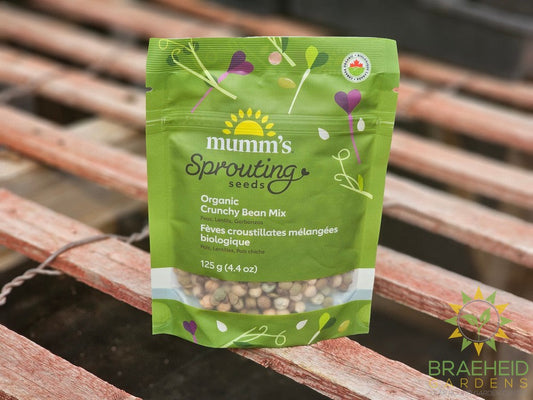 Organic Crunchy Bean Mix Micro Greens