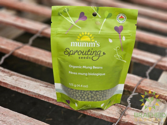 Organic Mung Beans Micro Greens