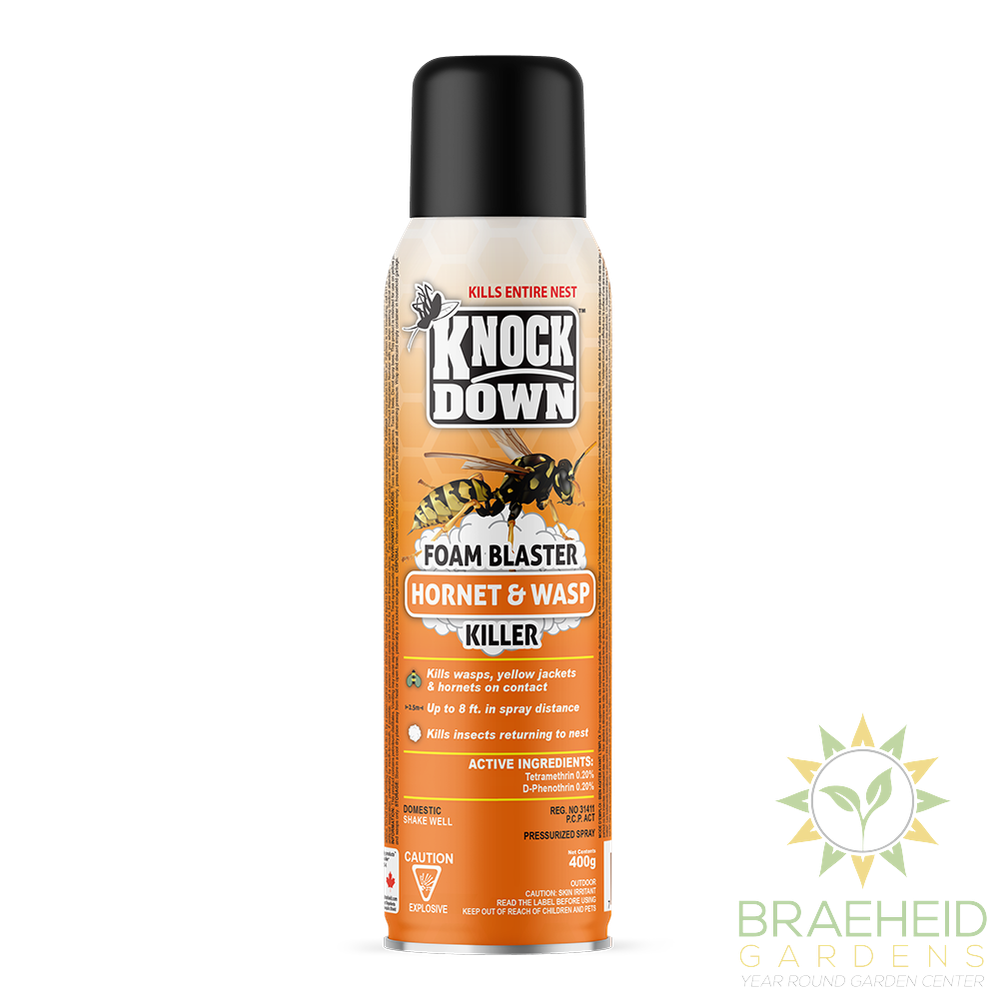 Hornet & Wasp Foam Blaster Killer