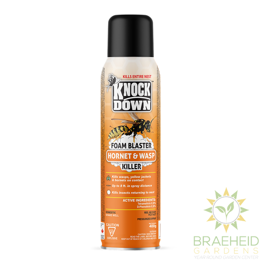 Hornet & Wasp Foam Blaster Killer