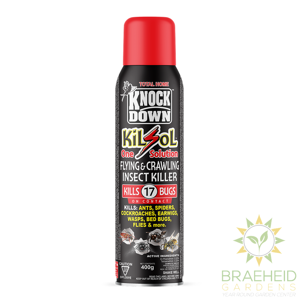 KiLsol Flying & Crawling Insect Killer