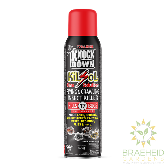 KiLsol Flying & Crawling Insect Killer