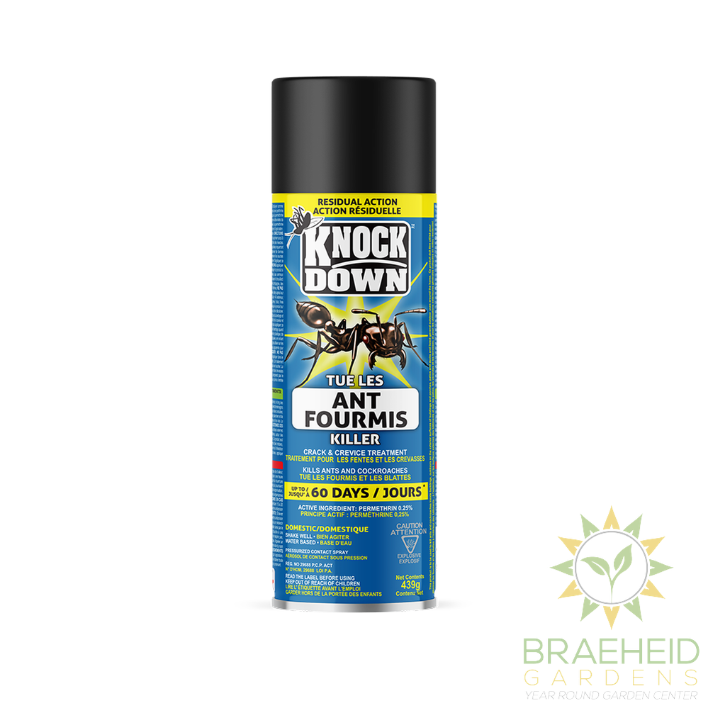 Ant Killer Spray