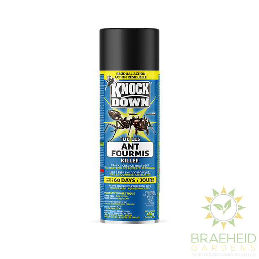 Ant Killer Spray
