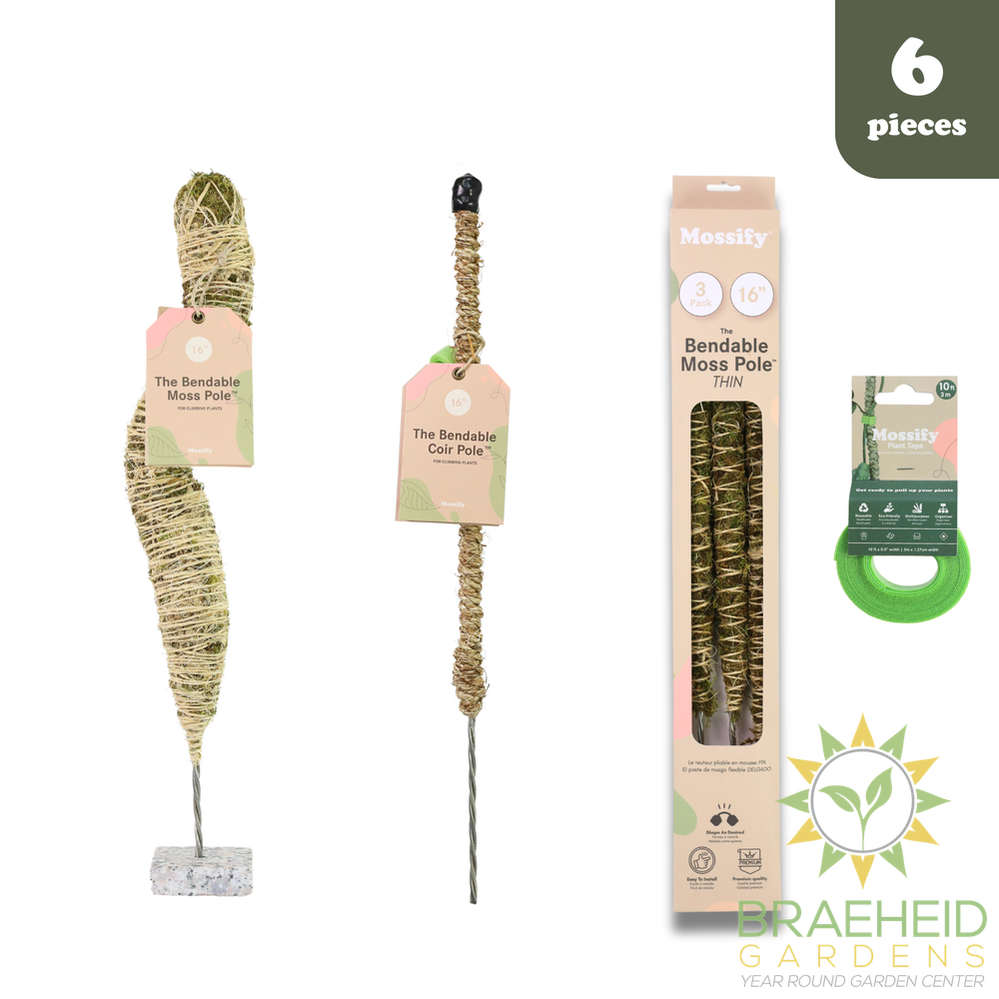 Ultimate Bendable Plant Support Pack