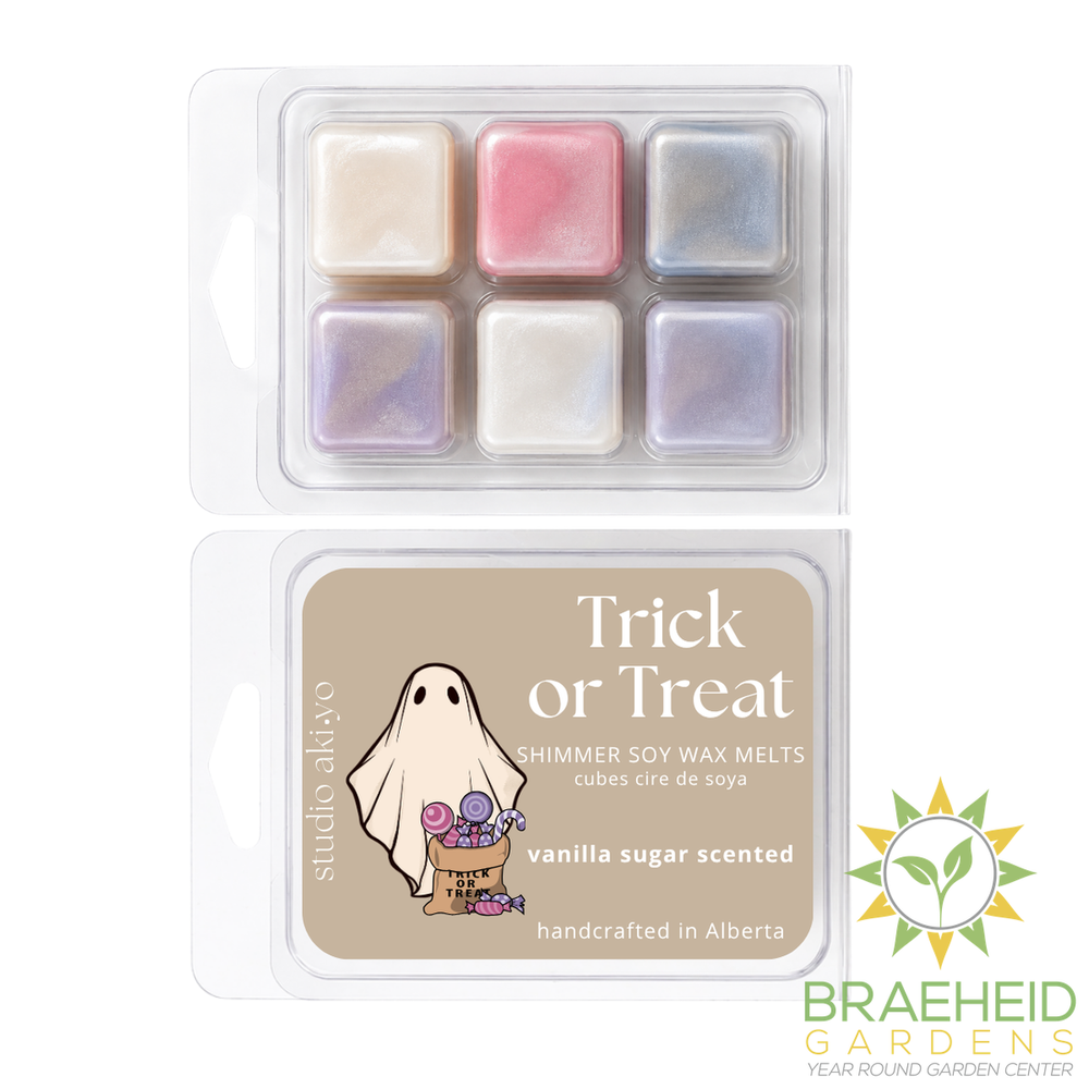 Vanilla Sugar Trick or Treat Halloween Soy Wax Melt | Spooky