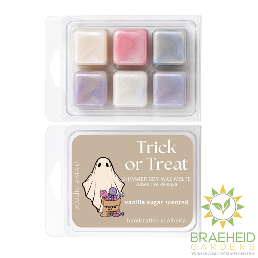 Vanilla Sugar Trick or Treat Halloween Soy Wax Melt | Spooky