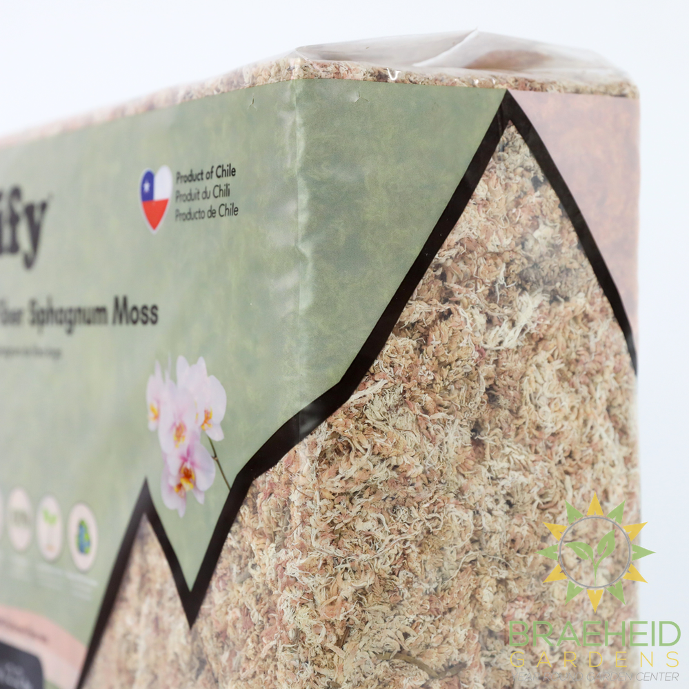 Premium Sphagnum Moss