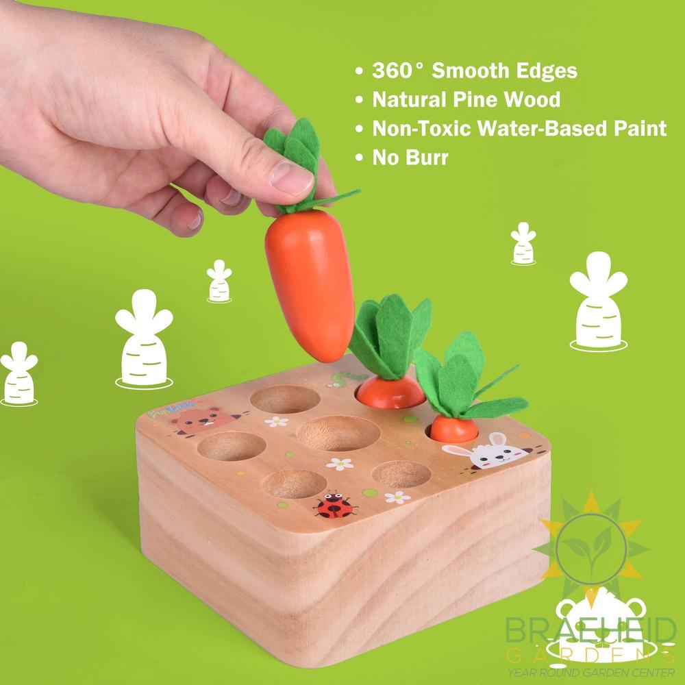 Educational Wooden Toys Carrots Harvest Shape Size Sorting