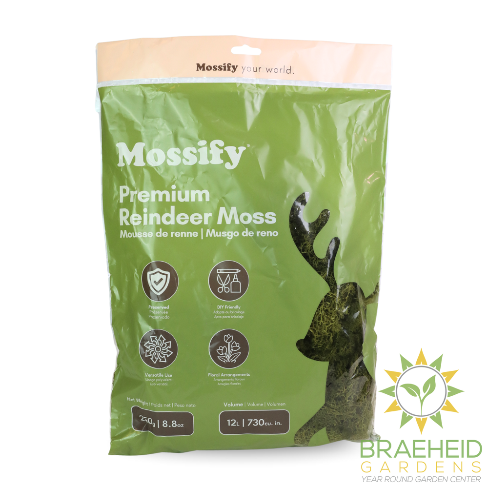 Premium Reindeer Moss Bag