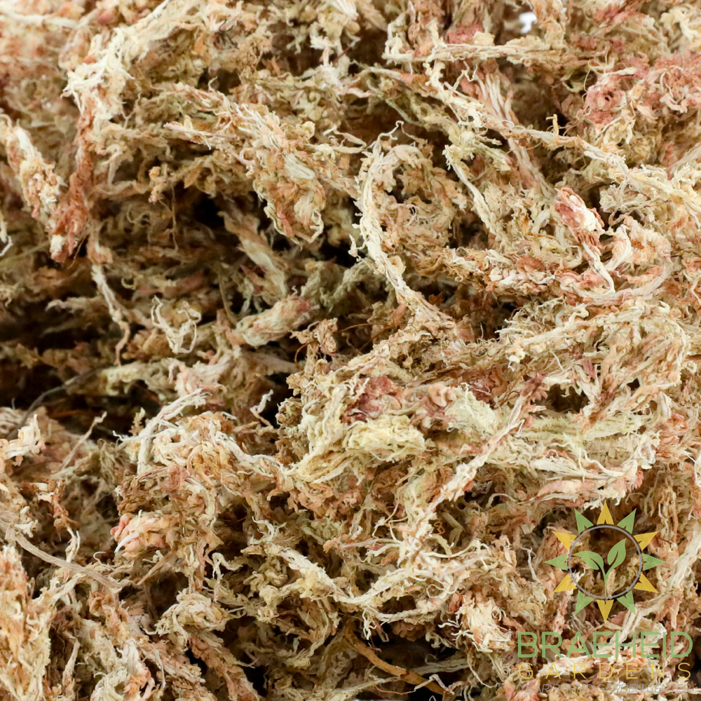Premium Sphagnum Moss