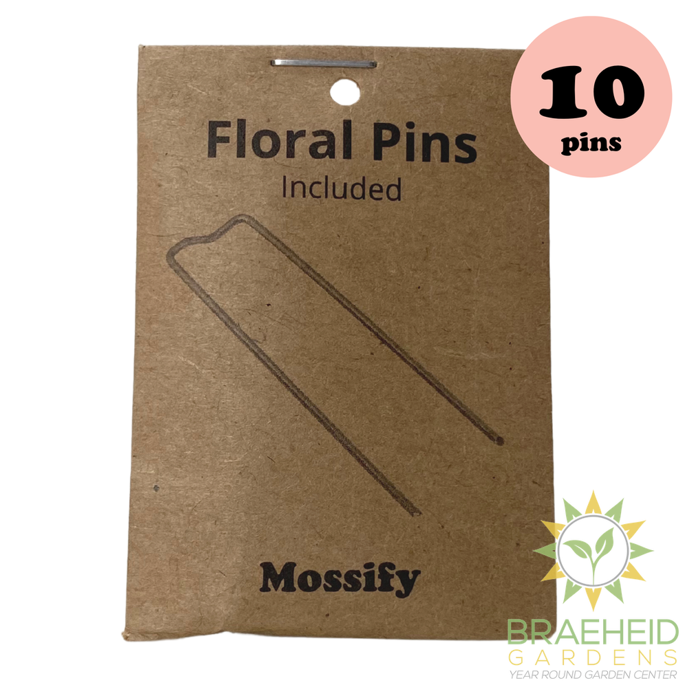 Floral Pins - Greening Pins - Moss Pole Pins