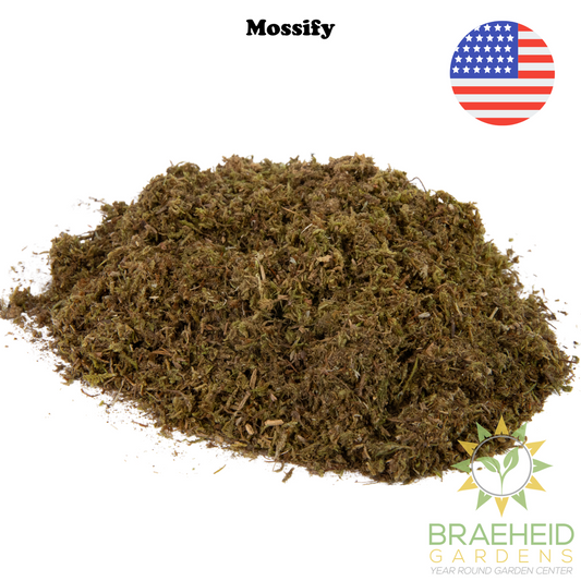 Growable Moss for the Shade