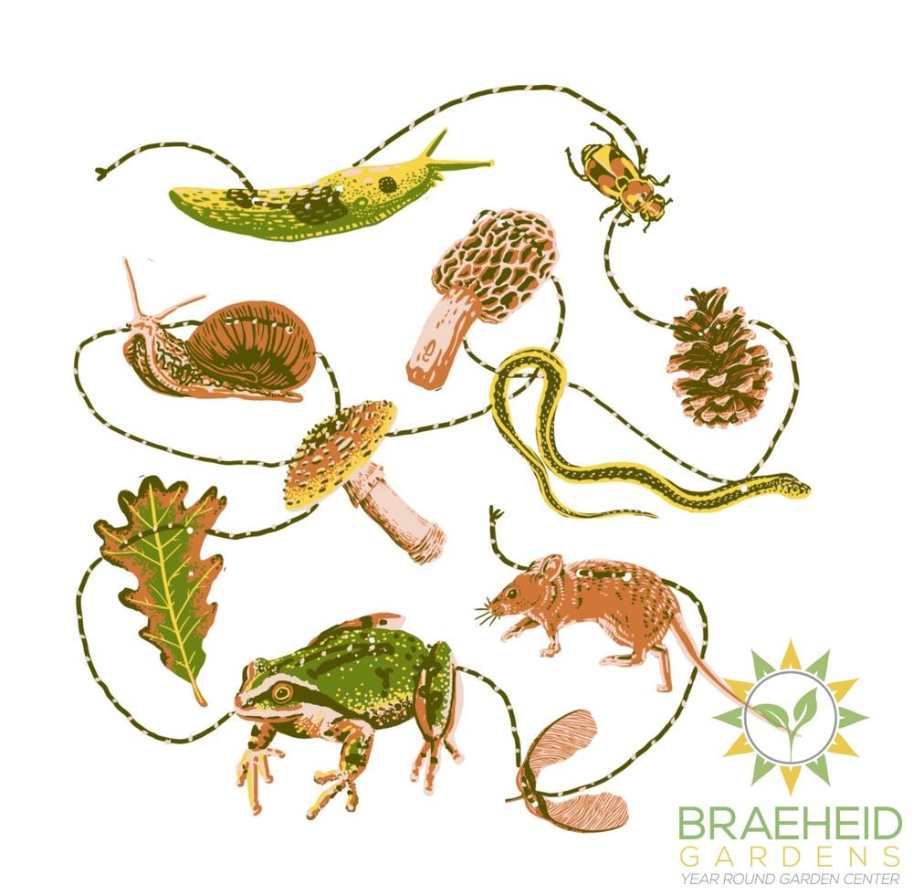 Forest Floor Paper Garland