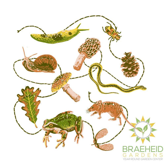 Forest Floor Paper Garland