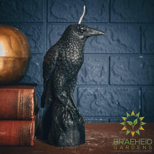 PERCHED RAVEN CANDLE | PILLAR