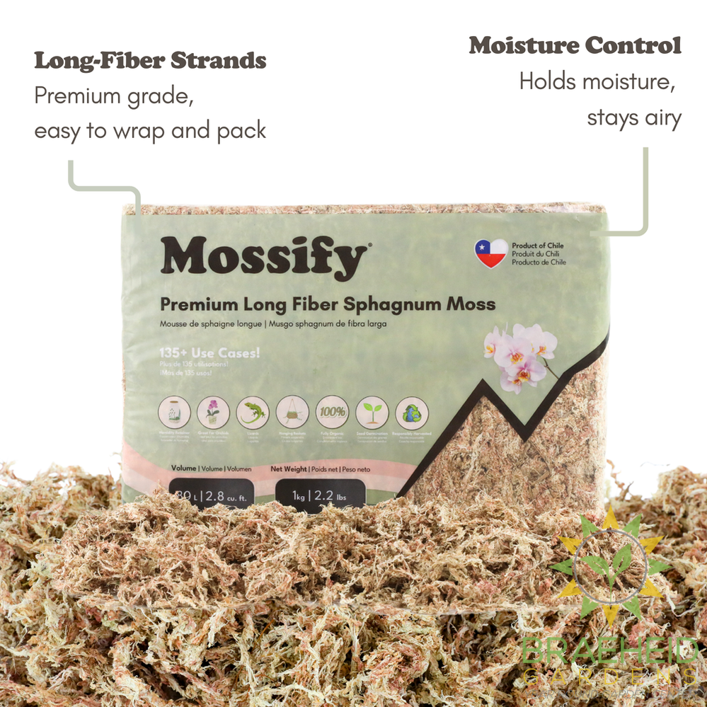 Premium Sphagnum Moss