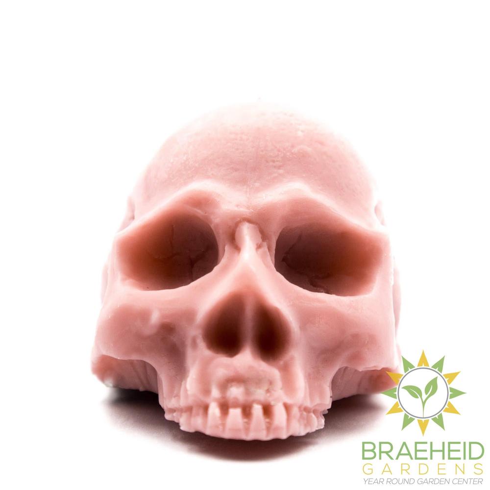 Half Skull | Pillar Candle