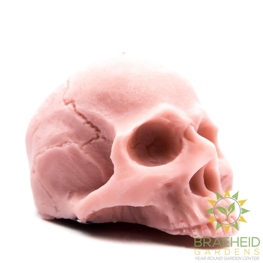 Half Skull | Pillar Candle