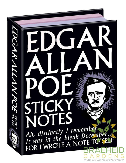 Edgar Allan Poe Sticky Notes
