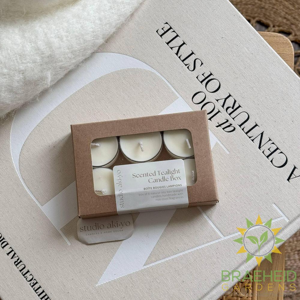 Honey Fig Ginger Tealight Candle Box of 6 | Hygge Home