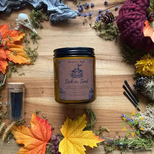 Trick or Treat, 100% soy wax scented candle