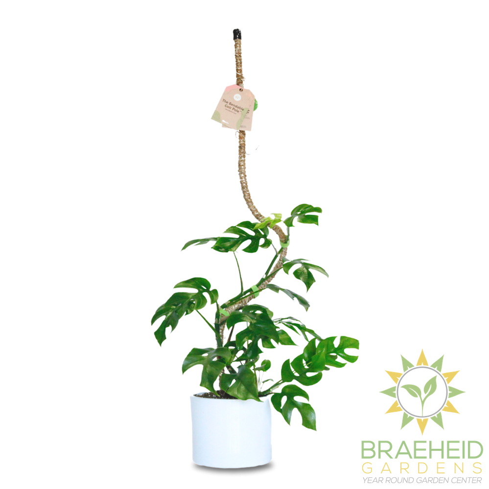 The Original Bendable Coir Pole™ - Best Seller (Tape Included)
