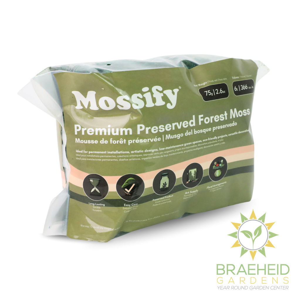 Premium Preserved Forest Moss