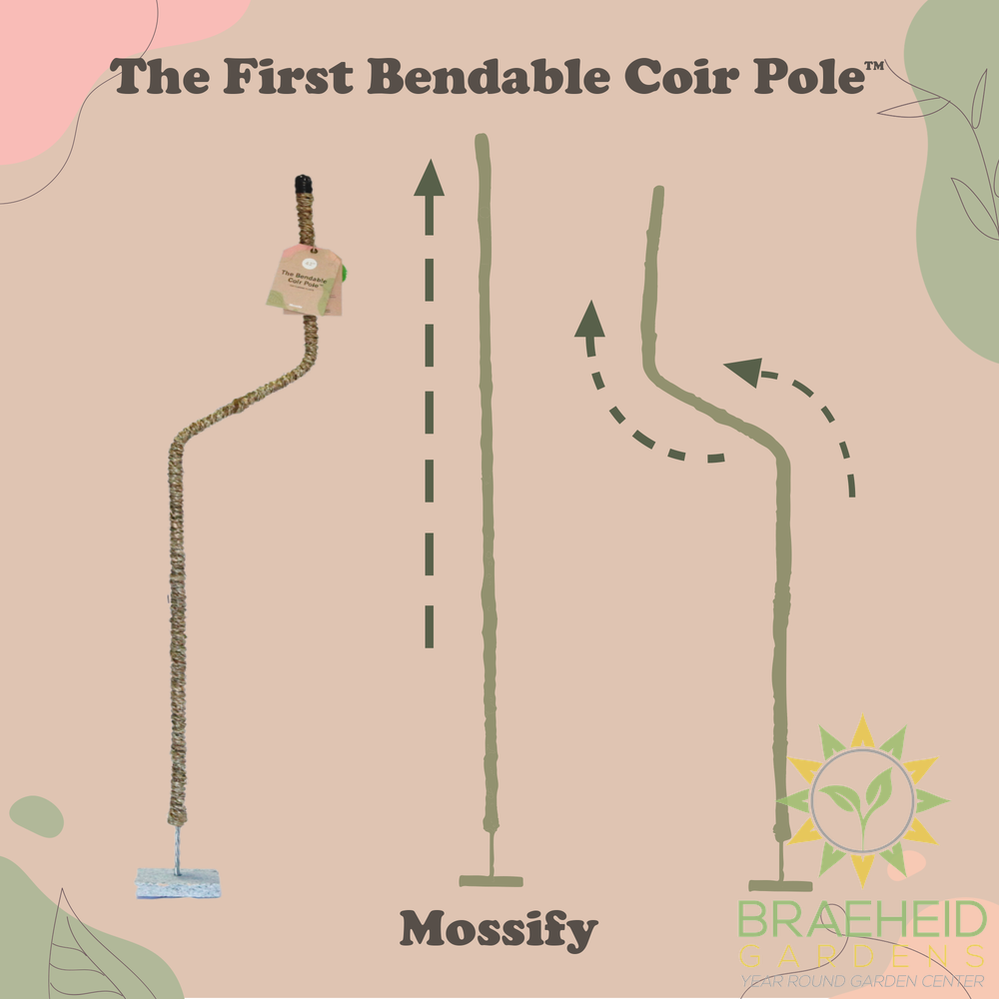 Ultimate Bendable Plant Support Pack