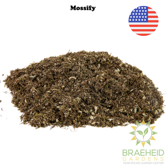 Growable Moss for the Sun