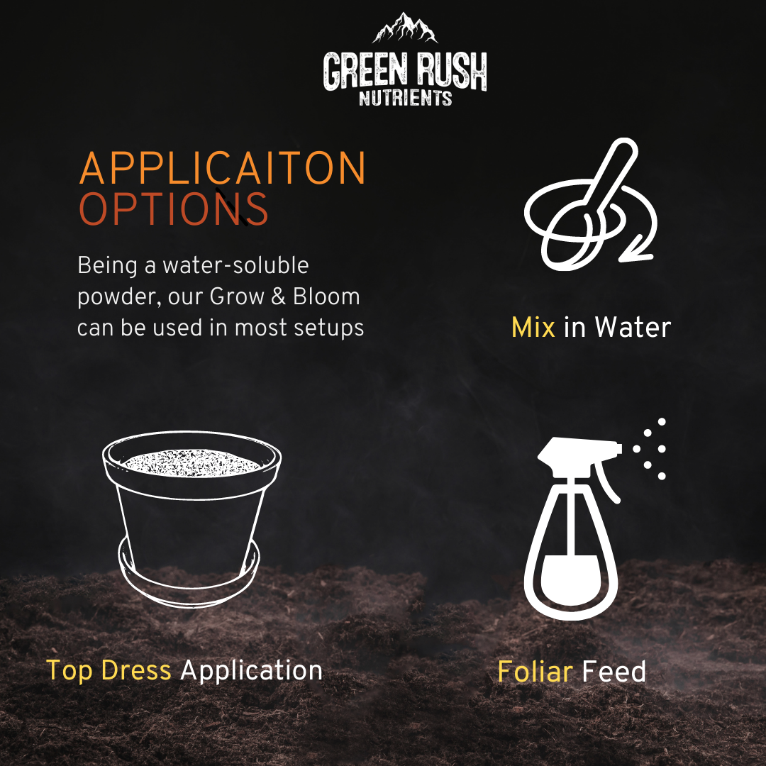 Veg To Harvest Pack: Leafy Green Grow & Beefy Bud Bloom Combo