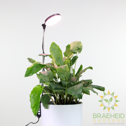 28" Adjustable LED Plant Light