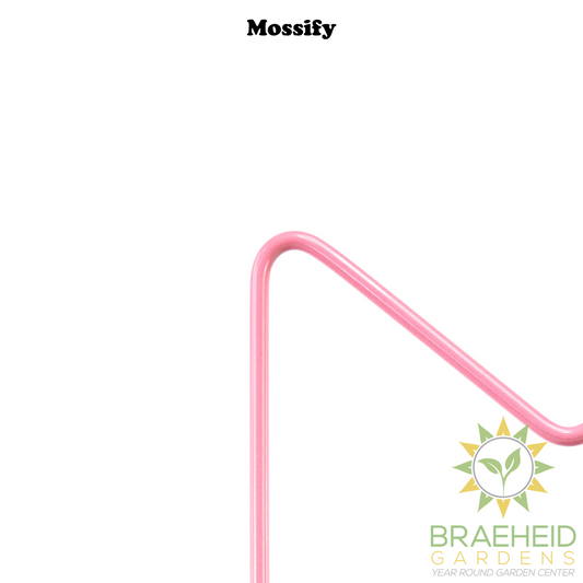 "M" Metal Trellis