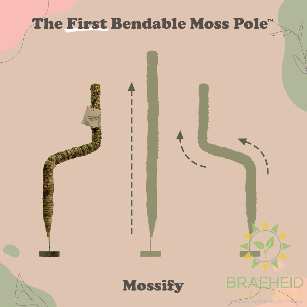 Ultimate Bendable Plant Support Pack