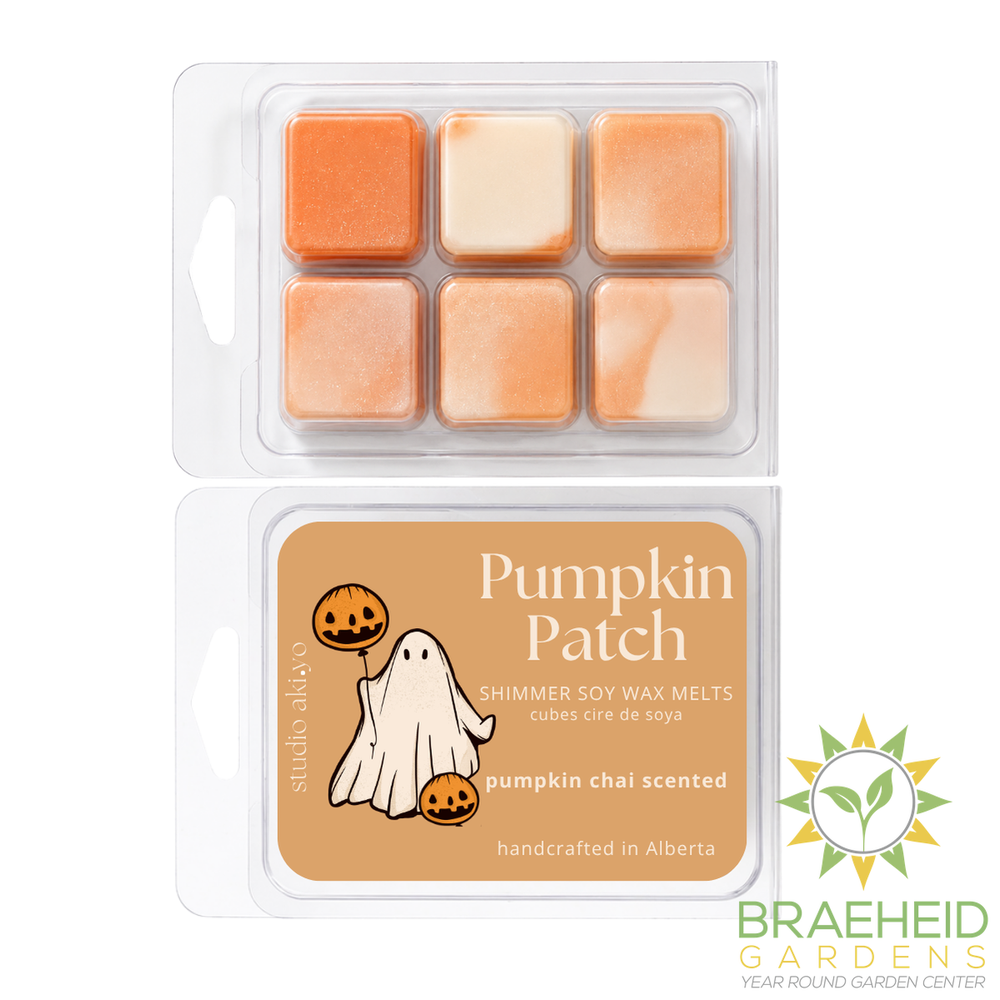 Pumpkin Chai Pumpkin Patch Soy Wax Melt | Autumn Halloween