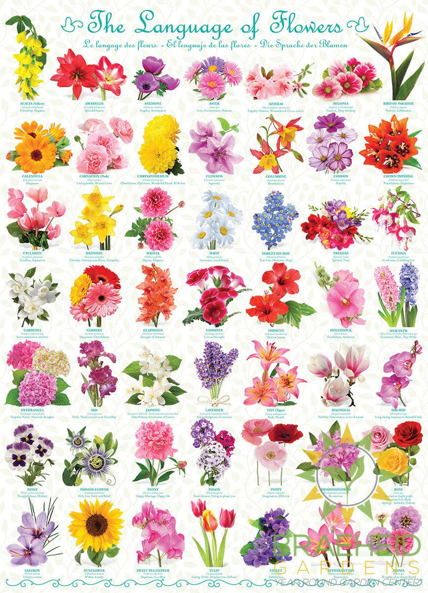 The Language of Flowers Puzzle