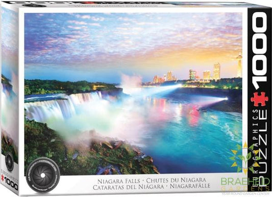 Niagara Falls Puzzle