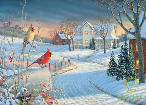 Country Cardinals Puzzle