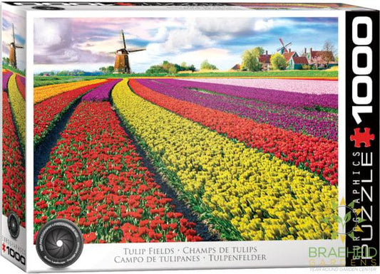 Tulip Field - Netherlands Puzzle