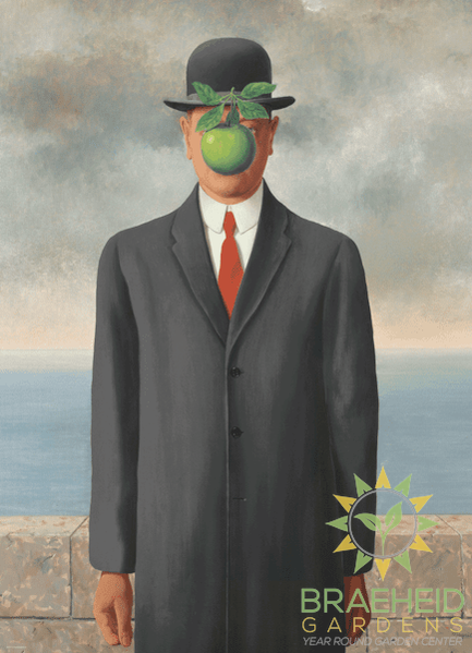 Son of Man Puzzle