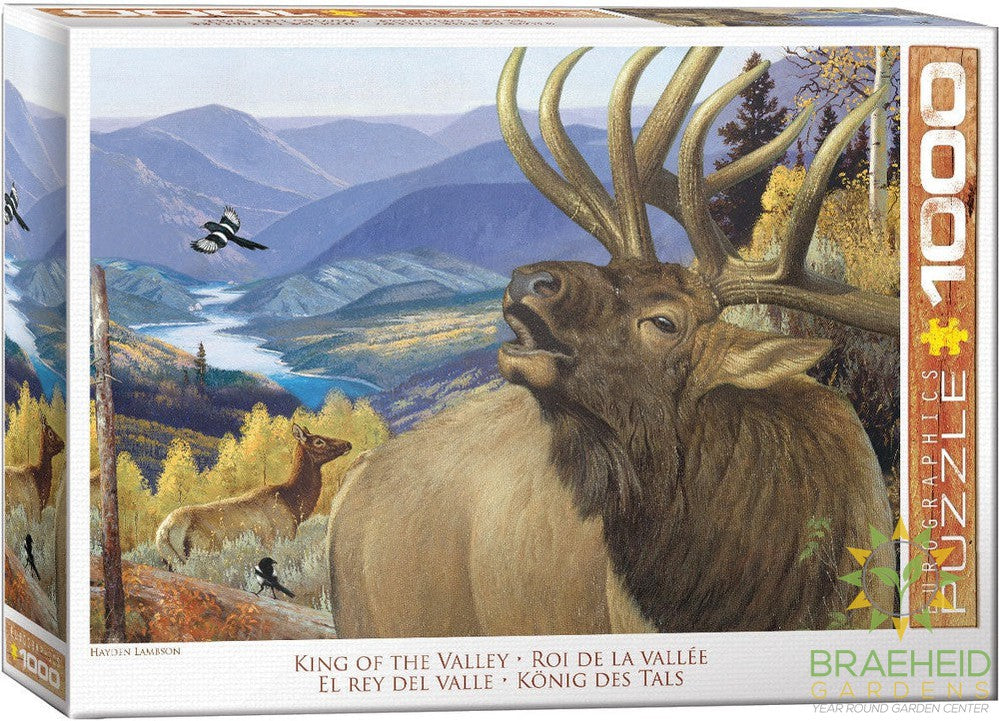 King of the Valley Puzzle