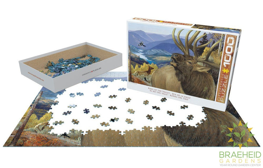 King of the Valley Puzzle