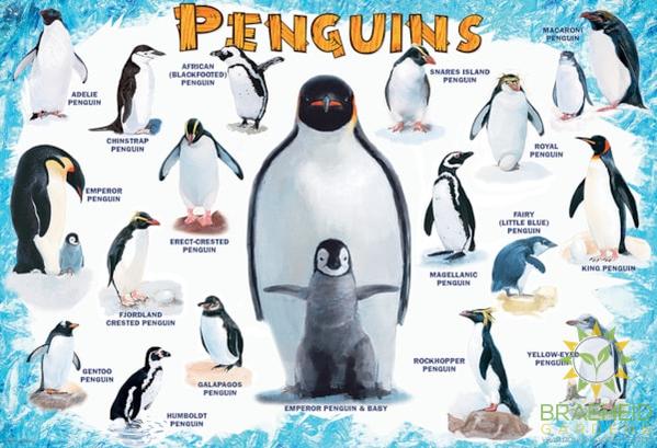 Peguins Puzzle