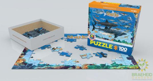 Sharks Puzzle