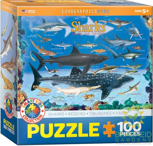 Sharks Puzzle