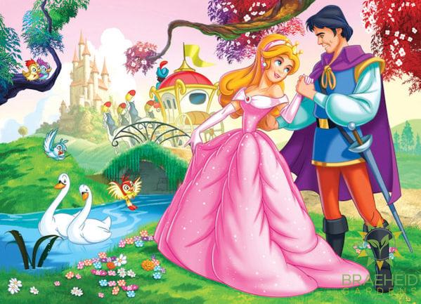 Cinderella Puzzle
