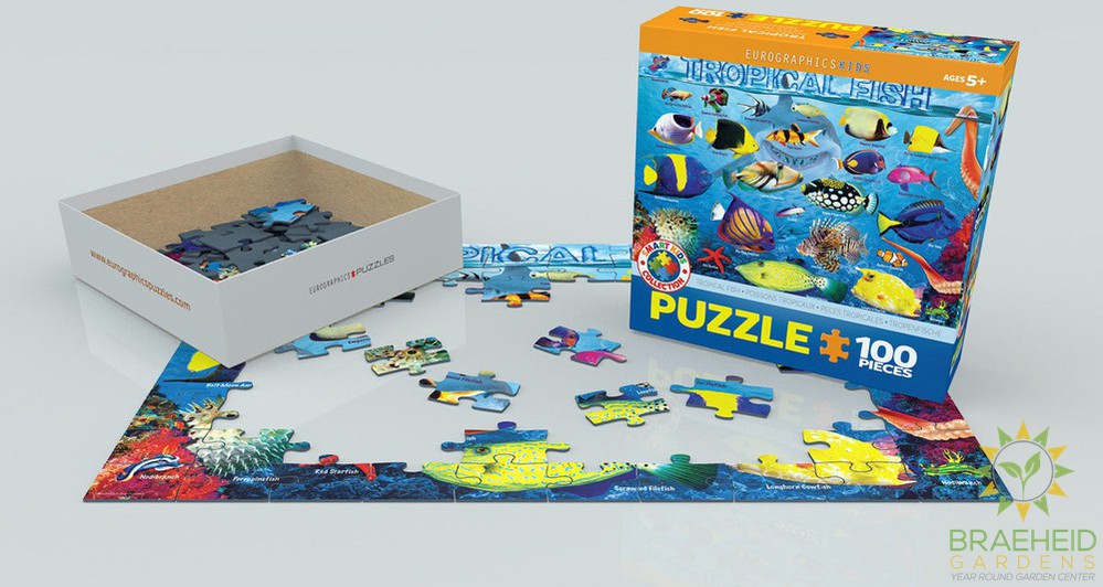 Tropical Fish Puzzle