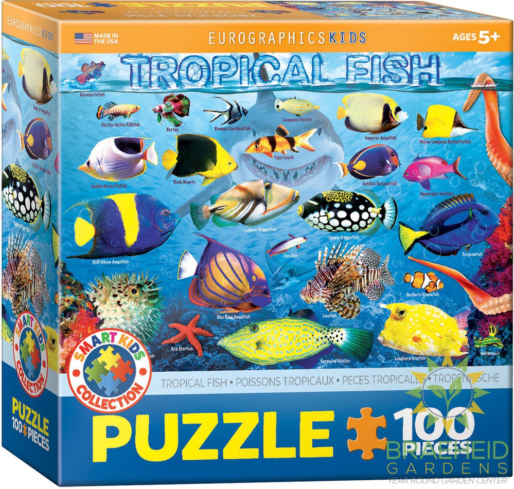 Tropical Fish Puzzle