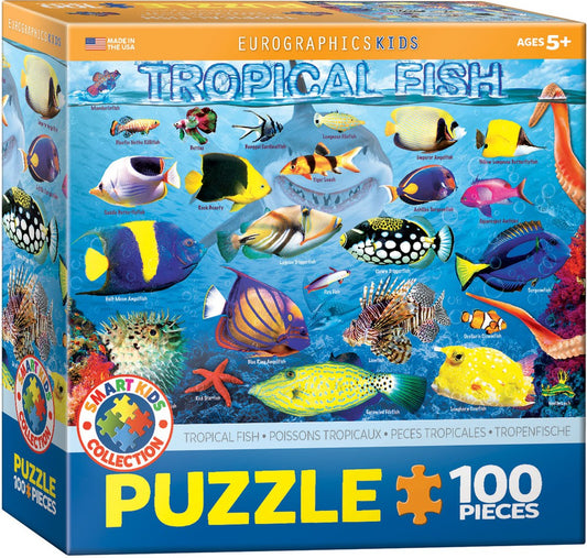 Tropical Fish Puzzle